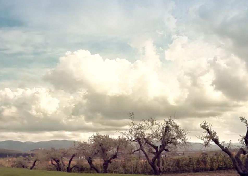 tuscany-wine-winery-video-production