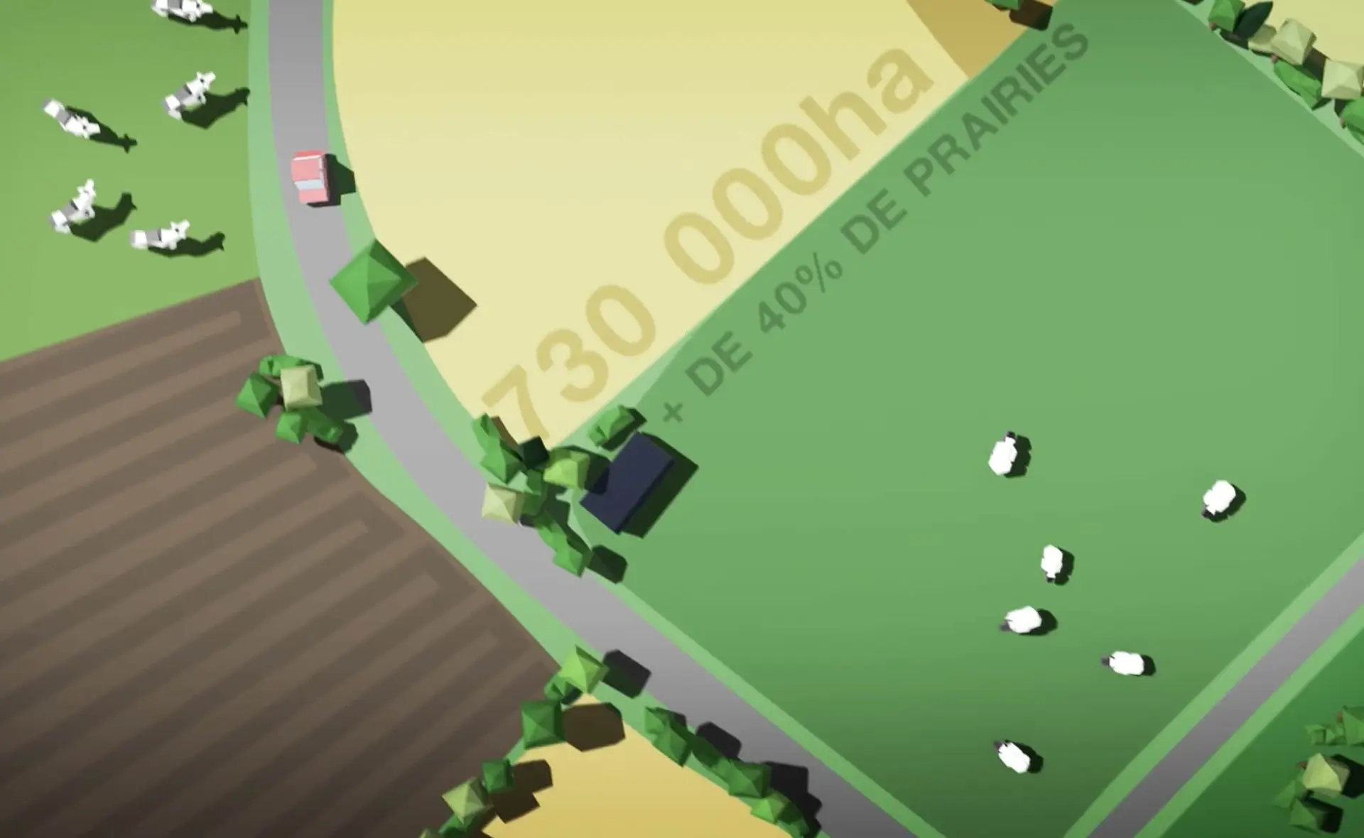 fields 3D animation video