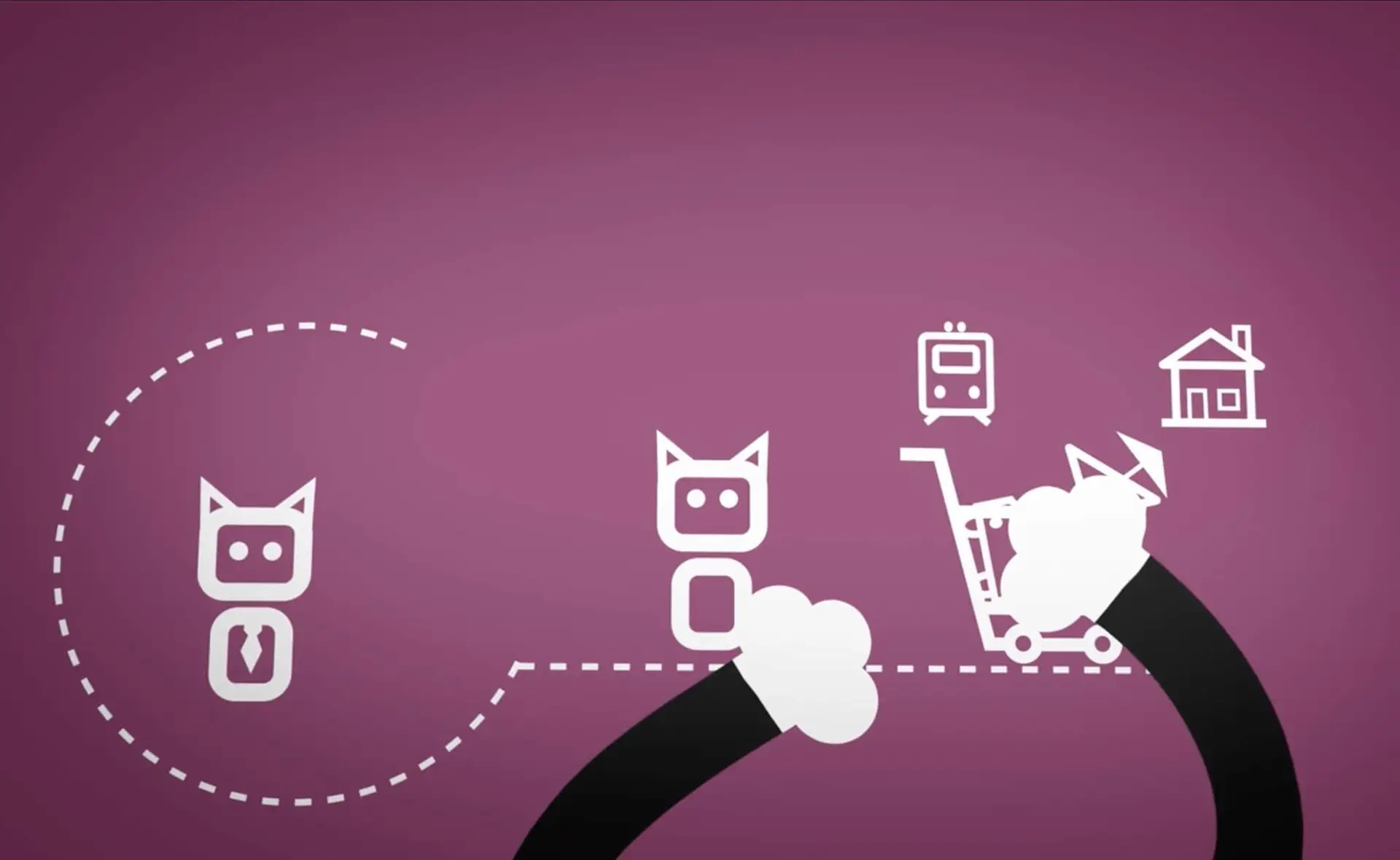 cat animation video corporate