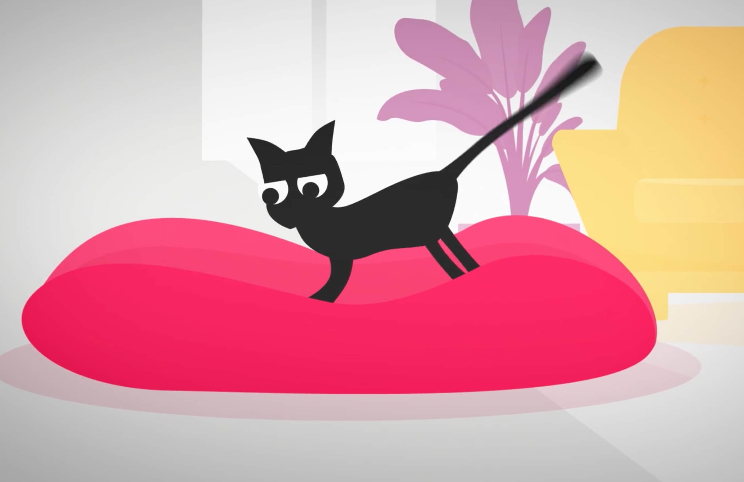 cat animation video corporate